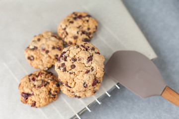 Fresh organic homemade cookies with chocolate chips and dried berries on parchment paper on cooling rack