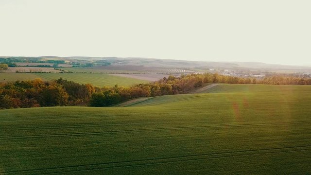 Shot from the drone during takeoff and the camera slowly down. Green meadows at golden hour. In the middle of forests in beautiful nature and landscape. Breaking rays of the sun through the clouds.