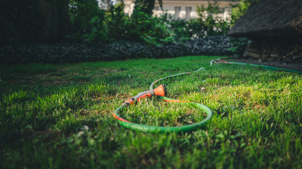 Rot grüner Gartenschlauch mit Gartenbrause liegt im Rasen