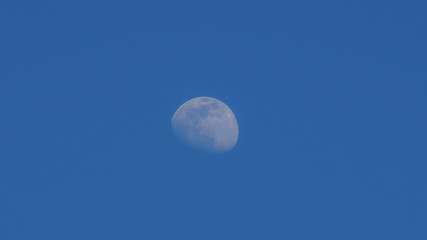 La luna vista in un pomeriggio di maggio 2020 © Luciano Pierantoni