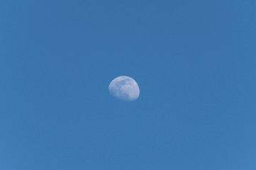 La luna vista in un pomeriggio di maggio 2020 © Luciano Pierantoni