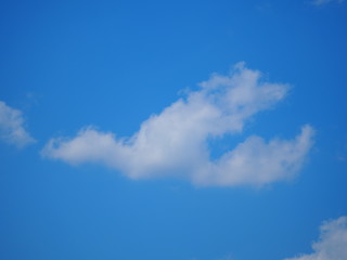 雲（鳥・飛行機）