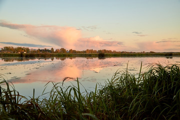View from coast throught green grass on foreground on a water of lake, pink sunset, blue sky and white clouds at evening time