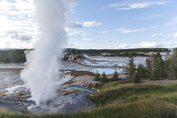 White big steam from geyser with pool view in the forest which located in Yellowstone national park United States as famous landmark in the world, travel concept of nature beauty of geysers 