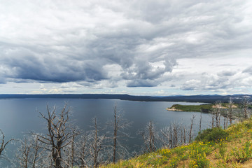 Dark grey blue clouds above Yellowstone lake with died trees and green grass as natural wallpaper with tourism concept in national park and the most famous attraction in the wold located in USA