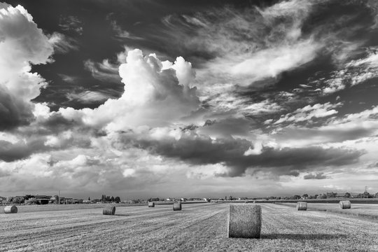 Round hay bales in the Tuscan countryside, Italy, against a dramatic black and white sky