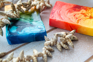 Collection of handmade soap, natural organic soap and cosmetic oil on wooden background.