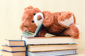 toy bear reading an interesting book, showing that even read toys. the concept of baby learning