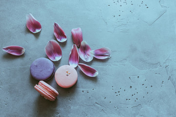Flat-lay of sweet pink and purple macaron cookies and petals of spring tulip flowers over blue concrete texture background, top view. Food texture, background and wallpaper