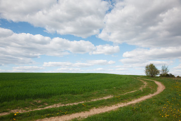 The rural landscape in the spring