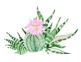 Watercolor succulent and cactus with pink flower.