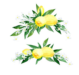 Set of watercolor yellow lemon arrangements. Lemon blossom arrangements.