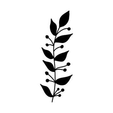 Black tropical leaf silute on an isolated white background. Botanical tree branches, palm leaf on the stem. Spring summer leaf. Concept design logo icon for the application. Vector illustration.