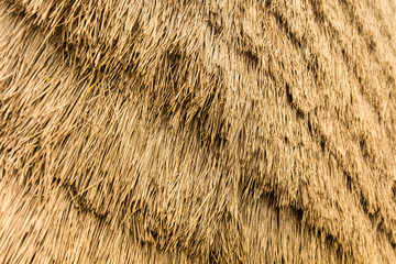 Backdrop with thatched roof detail