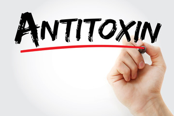 Fototapeta premium Antitoxin text with marker, medical concept background