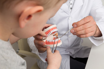 Child with dentist considering fake jaw in the cabinet together