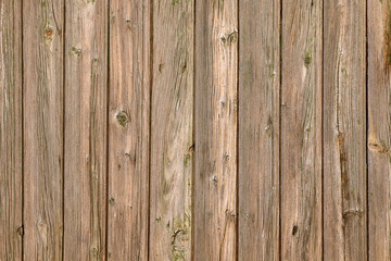 Closeup of old wooden planks