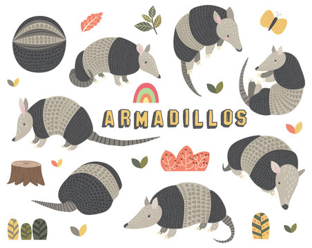 Set of Cute Little Armadillos Collections 