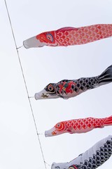 元気に泳ぐこいのぼり