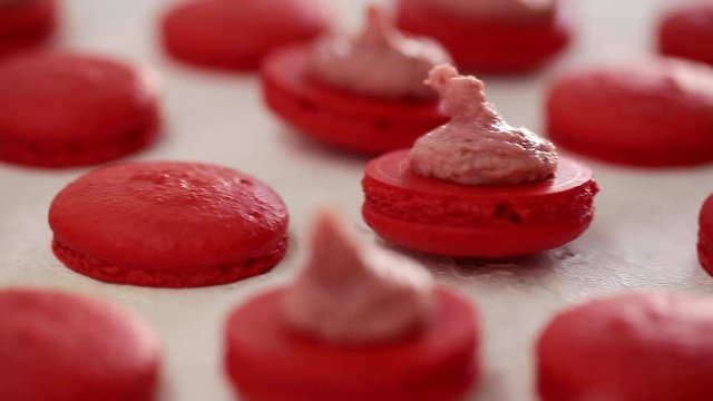 Close-up view of many rows of red opened halves with filling macarons macaroon on white background. Classical French dessert.