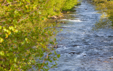 Reflejos de primavera sobre el río Freser (riu Freser). Campdevànol, el Ripollès, Girona, Catalunya