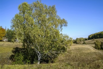 Fototapeta premium landscape of Central Russia in autumn, Tula region