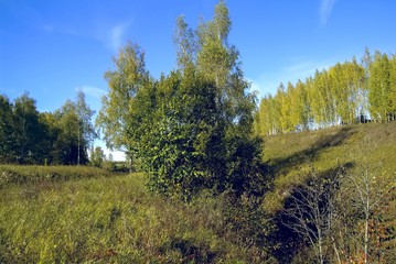 Obraz premium landscape of Central Russia in autumn, Tula region