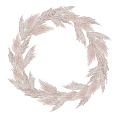 Pampas grass wreath illustration. Dried grass wreath.