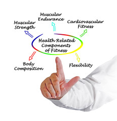 Health Related Components of Fitness