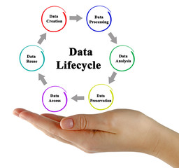 Stages of Data Life cycle