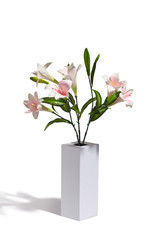 Subject shot of a white rectangular vase with several twigs of white orchids in it. The low vase with flowers is isolated on the white background.  