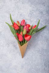 Ice cream of red  tulip flowers in waffle cone  on concrete  table top view in flat lay style.