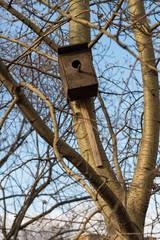 Birdhouse on tree in early spring