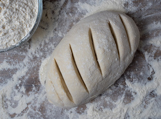 Fresh dough ready for baking bread.
