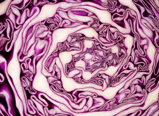 Obraz premium Cross section of a red cabbage background.