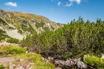 Fototapeta na wymiar Beautiful mountain scenery in a sunny summer day. Rila mountain, Bulgaria. Hiking/ trekking concept.