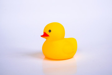 Yellow duck toys isolated on white background for friendship and unity concept.
