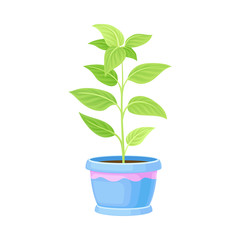 Young Plant in Pot for Reseting in Soil Outside Vector Illustration