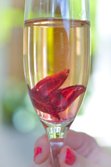 Ekurhuleni Photo Library