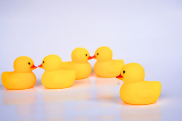 Yellow duck toys isolated on white background for friendship and unity concept.