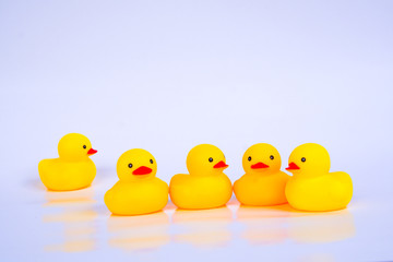 Yellow duck toys isolated on white background for friendship and unity concept.