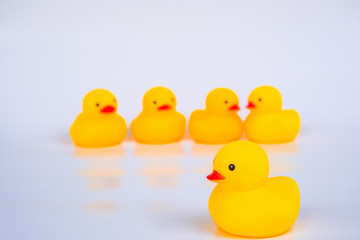 Yellow duck toys isolated on white background for friendship and unity concept.