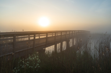 Small wooden bridge in a nature area during a foggy, spring sunrise.