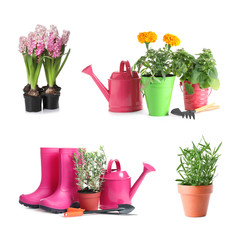 Set with different gardening tools and plants on white background