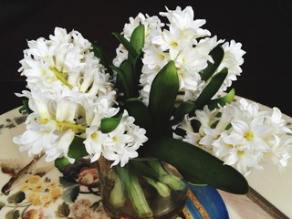 White Flowers In Vase On Table