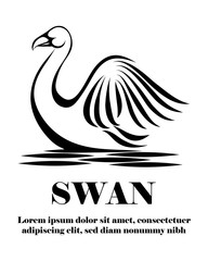 Fototapeta premium Black line art Vector illustration on a white background of a swan. Suitable for making logo.