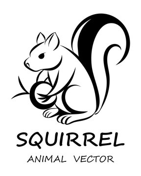Black Vector illustration on a white background of a squirrel. Suitable for making logo.