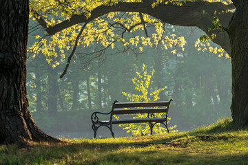 Piękna ławeczka w malowniczym parku