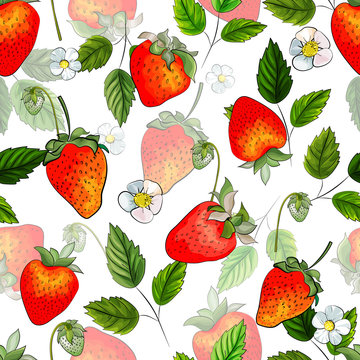 Strawberry. Hand drawn. Seamless pattern with red berries, white flowers and green leaves on white background. Illustration for kitchen design, packaging, textile, wrapping paper. Vector.