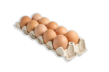 Egg in panel on white background with clipping path